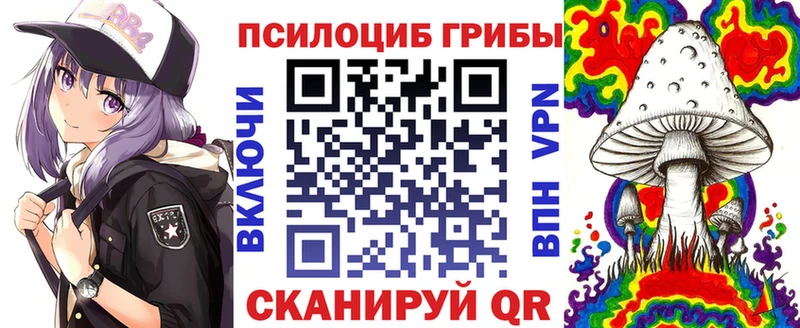 где найти   Ипатово  Галлюциногенные грибы GOLDEN TEACHER 