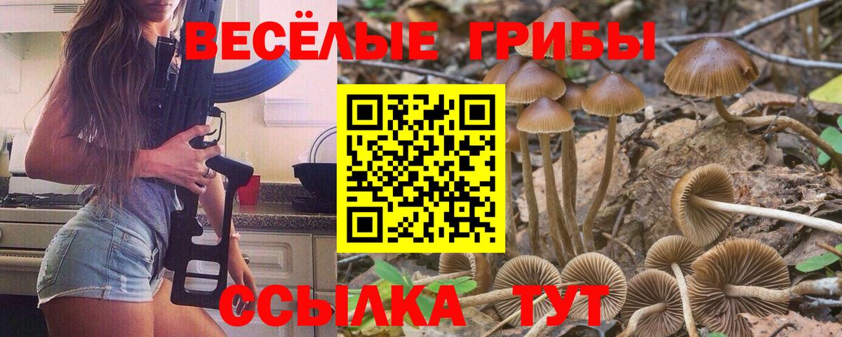 Галлюциногенные грибы Magic Shrooms Ипатово