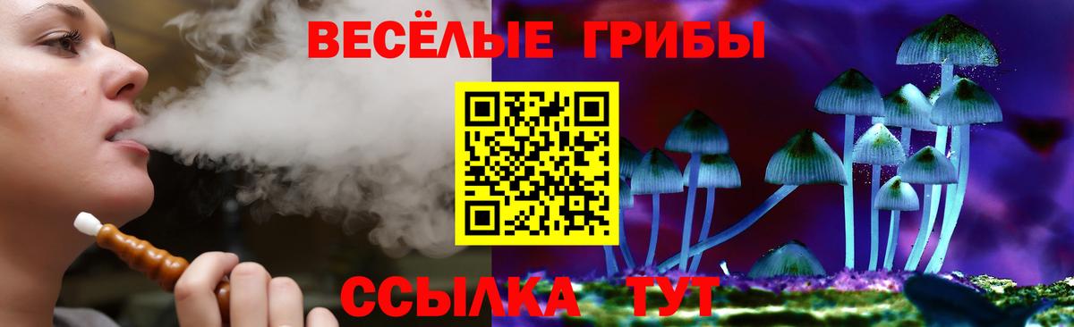Ипатово  Галлюциногенные грибы Psilocybe  Галлюциногенные грибы Psilocybine cubensis  Вход с VPN 