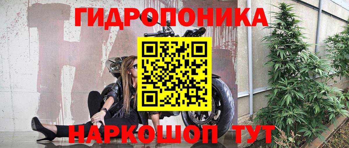 Бошки Шишки индика Ипатово
